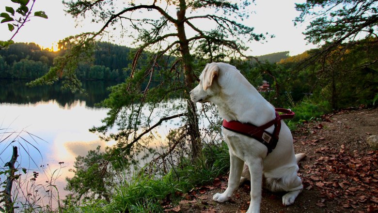 Wandern mit Hund, © Stefanie Mader-Wagner