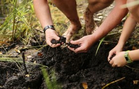 Moor, &copy; Waldviertel Tourismus, weinfranz