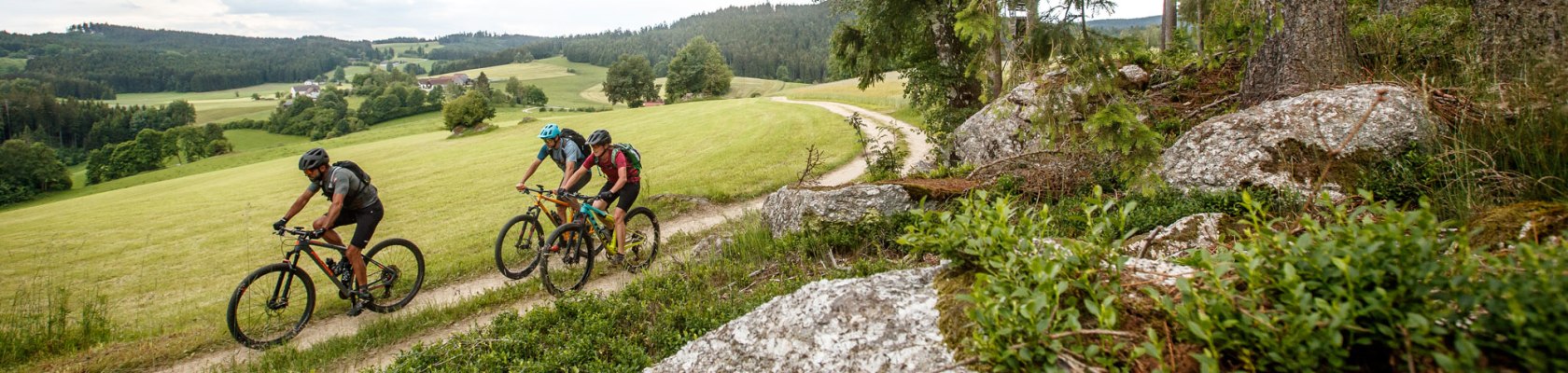 Granittrail, © Waldviertel Tourismus, Erwin Haiden