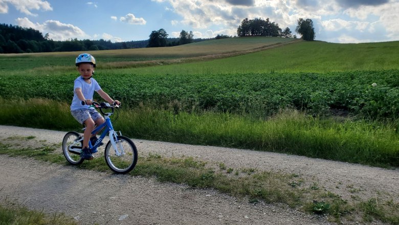 Weg hinterm Bauernhof - ideal zum Fahrradfahren und Spazieren gehen, © Anderlhof