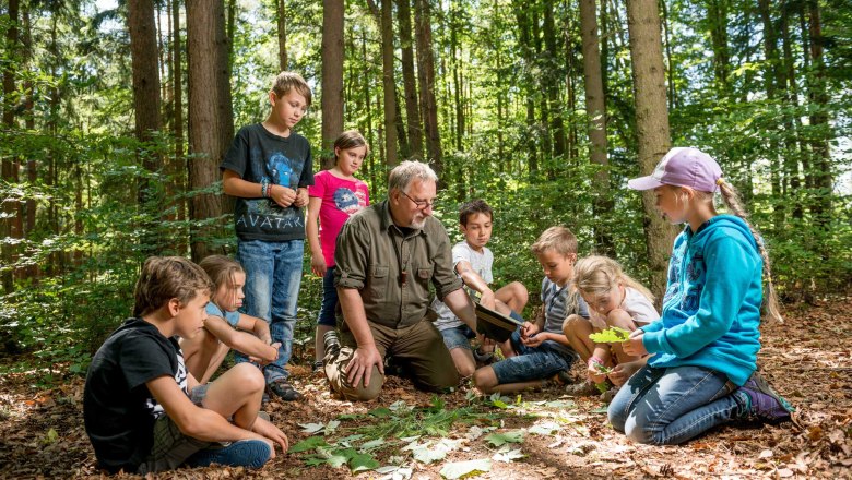 Waldschule Waldviertel, © Waldviertel Tourismus, Studio Kerschbaum