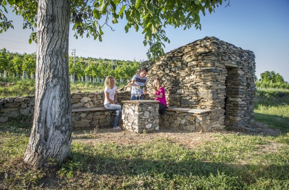 WEINWEG Langenlois, © Point of View