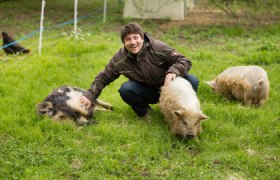 Schweine streicheln im Waldviertel, © Arvid Uhlig