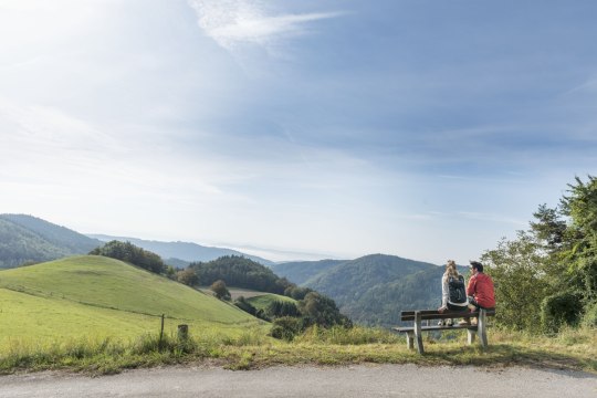 Blick ins Weitental, © Waldviertel Tourismus, Studio Kerschbaum