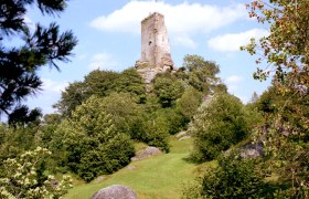 Ruine Arbesbach auf einem bewaldeten Hügel mit blauem Himmel im Hintergrund.