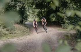 Zwei Radfahrer auf einem Waldweg in einer gr&uuml;nen Umgebung.