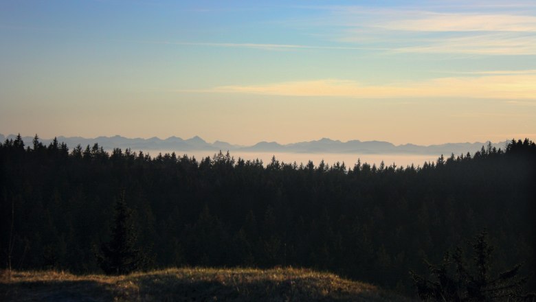 Aussicht Weinsberger Wald, © Erwin van Dijk