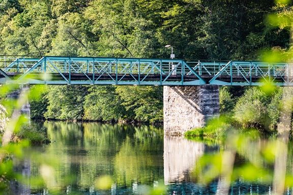 Die Thayabrücke überspannt einen ruhigen Fluss, umgeben von dichtem Grün und mit Spiegelung im Wasser.