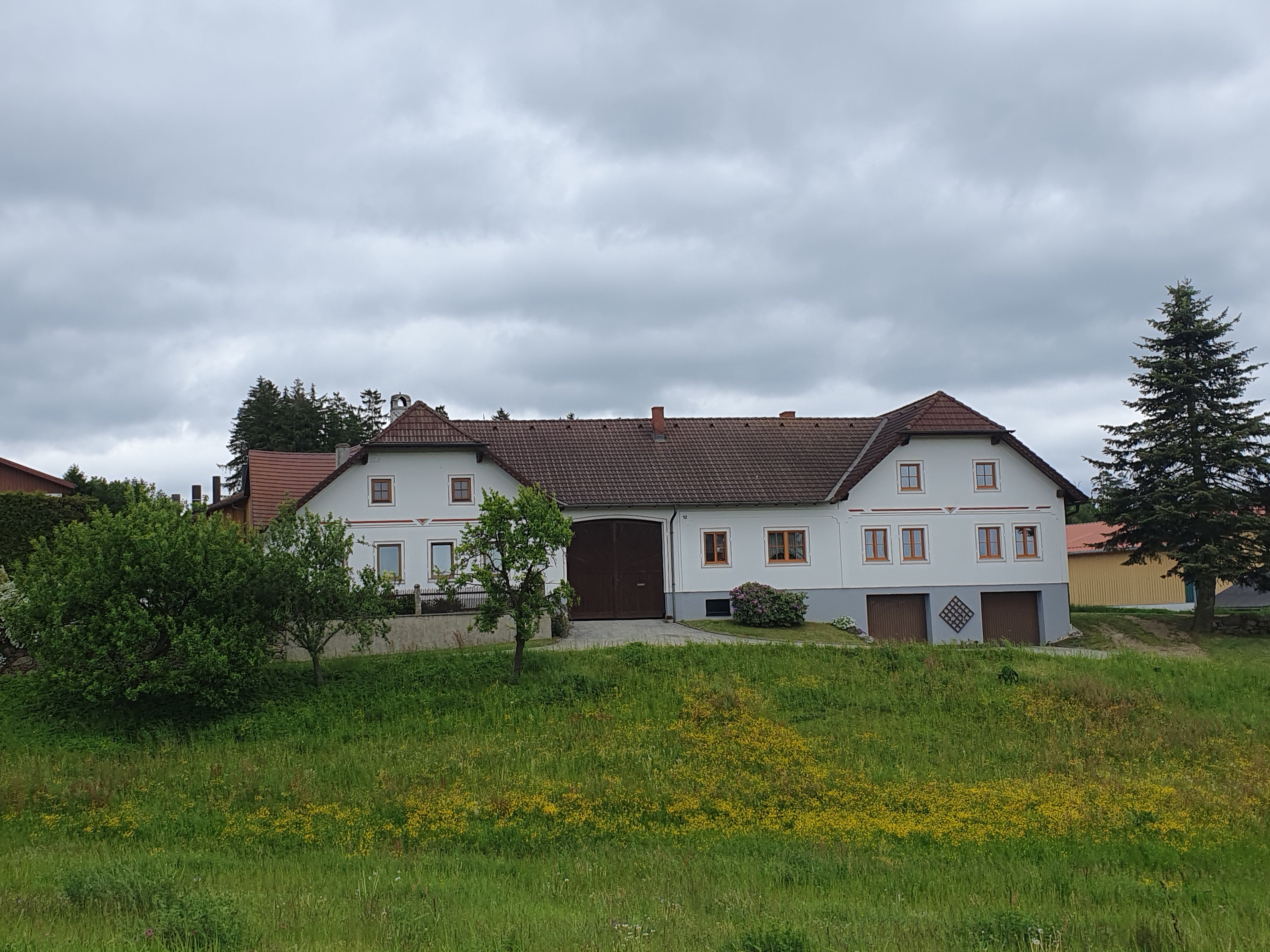 Großes Haus auf einer grünen Wiese 