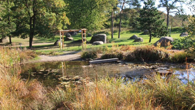 Libellenteich, &copy; Marktgemeinde Burgschleinitz