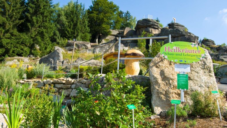 Medicinal herb garden with plants and rocks in Bad Traunstein.