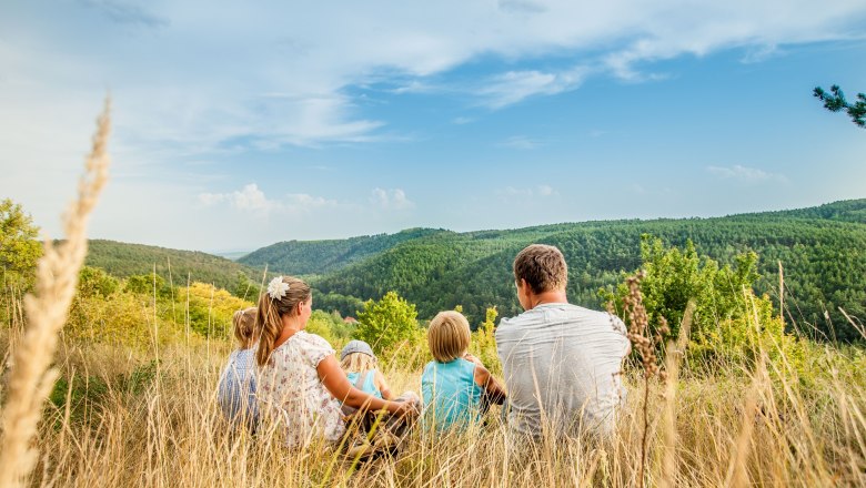 Wandern im Kamptal, © Waldviertel Tourismus, Studio Kerschbaum