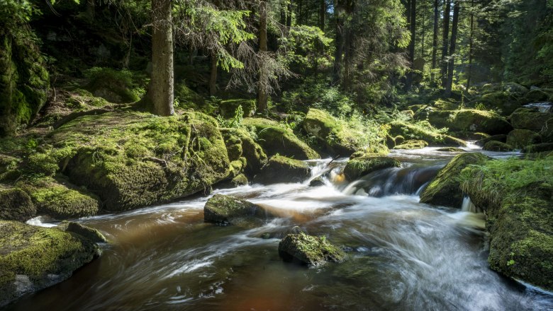 Höllfall, © Waldviertel Tourismus, Studio Kerschbaum