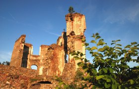 Ruine Kollmitz mit blauem Himmel und Pflanzen im Vordergrund.