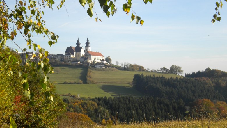 Landschaft mit Kirche Maria Taferl auf einem Hügel, umgeben von Bäumen und Wiesen.