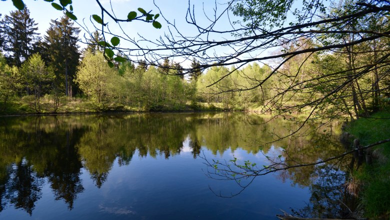 Teich beim Forsthaus Radschin, © Stephanie Szápáry