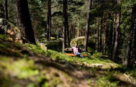 Wald, © Waldviertel Tourismus, Robert Herbst