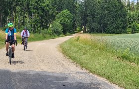 Zwischen Slavonce und Rappolz, &copy; Andreas Sogerer