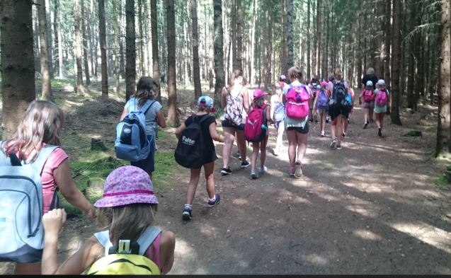 Forest hike_1, © Franz Inghofer