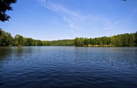 Blick auf den Herrensee mit bewaldetem Ufer und blauem Himmel.