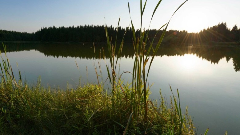 Himmelteich bei Ottenschlag, © Waldviertel Tourismus, Matthias Schickhofer