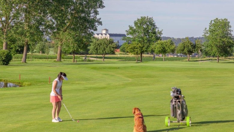 Golferin mit Hund auf grünem Golfplatz, Bäume und Gebäude im Hintergrund.