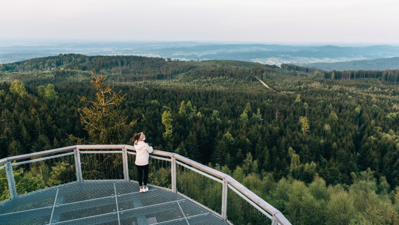 Person auf einer Aussichtsplattform blickt über einen dichten Wald im Waldviertel.