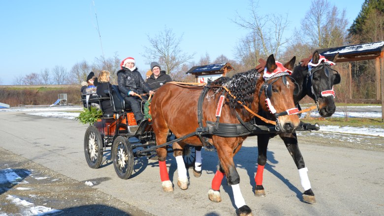 A horse-drawn carriage decorated for Christmas with people in winter clothing on a street.