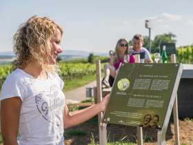 Weinweg 3, &copy; Robert Herbst /  www.pov.at