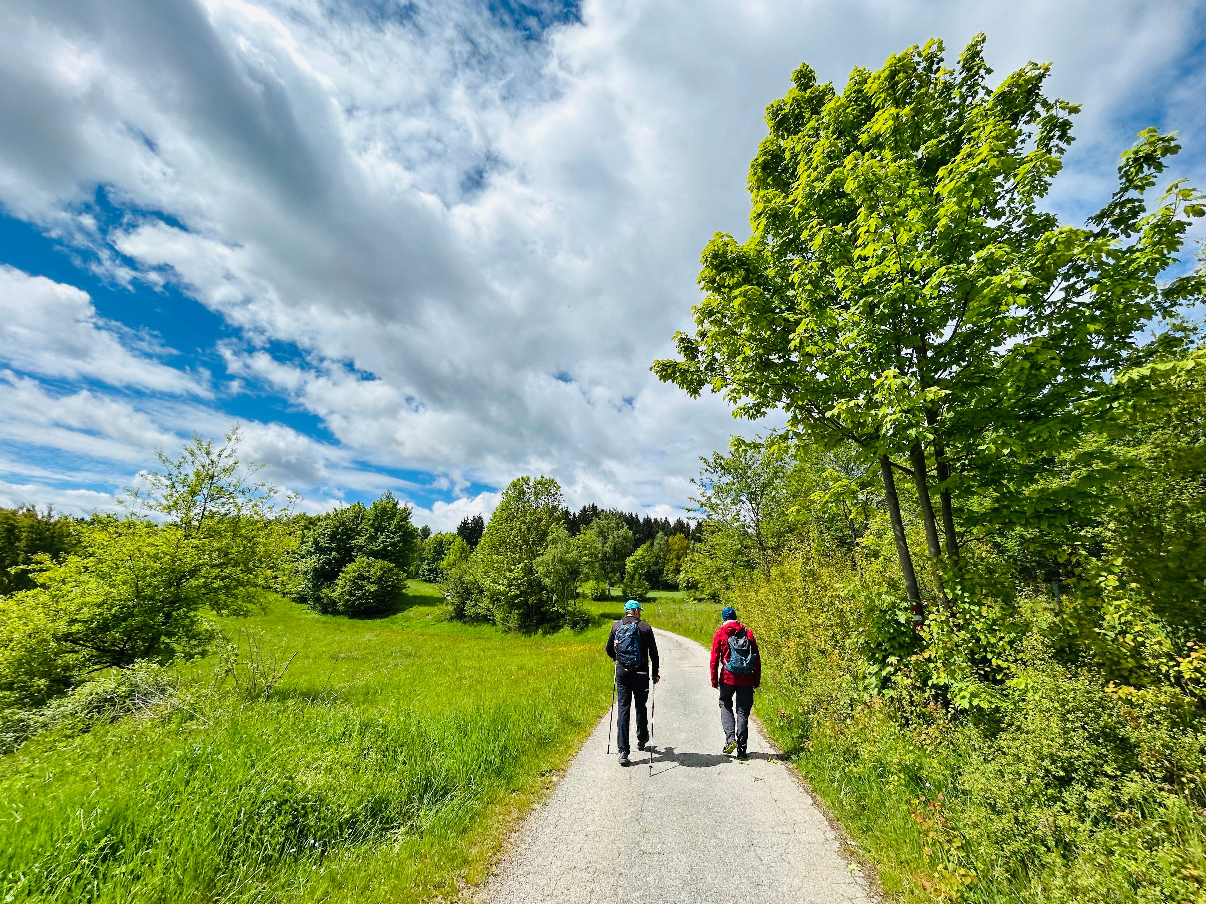 Zwei Wanderer pilgern auf einem Weg. Einer hat Walking-Stecken mit sich. 