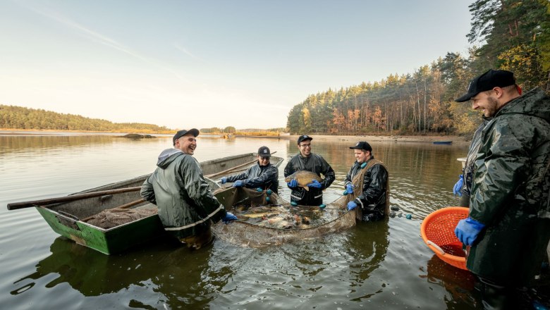 Fischer in Gummistiefeln und Regenjacken stehen im Wasser und halten ein Netz voller Fische. Ein Boot ist im Hintergrund zu sehen.