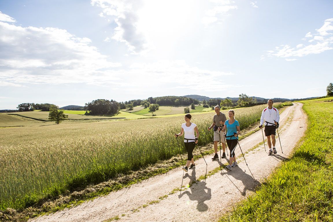 Vier Personen wandern mit Stöcken auf einem Feldweg bei sonnigem Wetter.