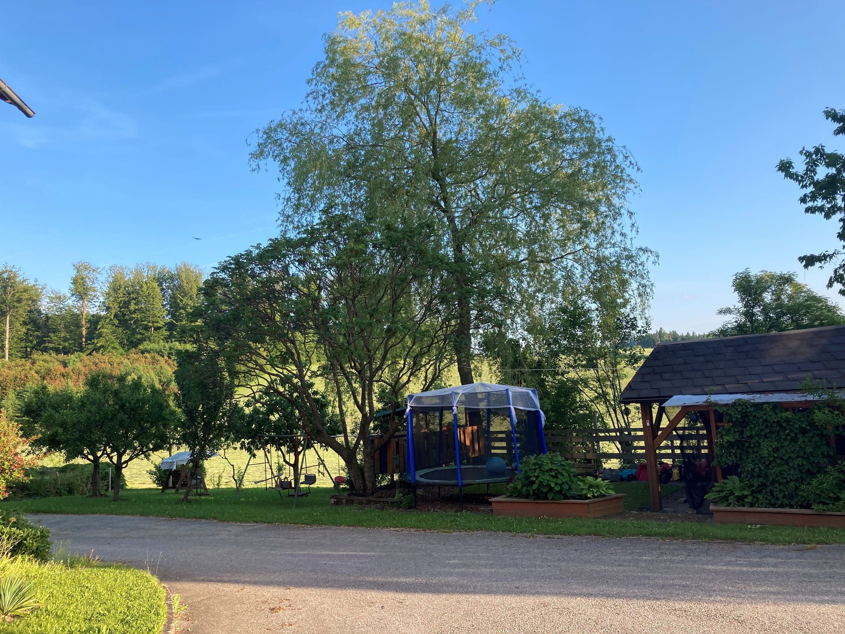 Ein Garten mit einem Trampolin, einem Gartenhaus und Bäumen unter blauem Himmel.