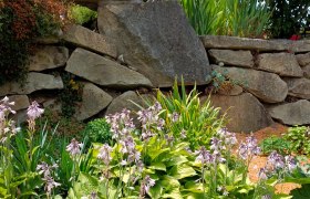 Steinmauer mit grünen Pflanzen und lila Blüten im Vordergrund.