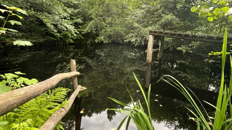 Privater Naturschwimmteich oberhalb der Ferienwohnung, © 1000Krauthof
