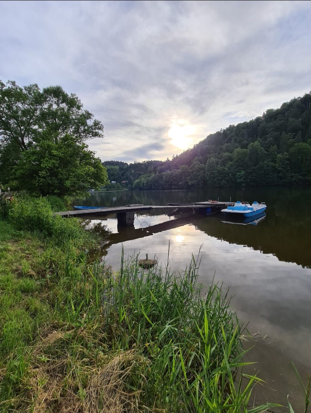 Ein ruhiger Stausee mit einem Steg und einem Tretboot im Wasser, umgeben von grünen Bäumen und bewölktem Himmel.