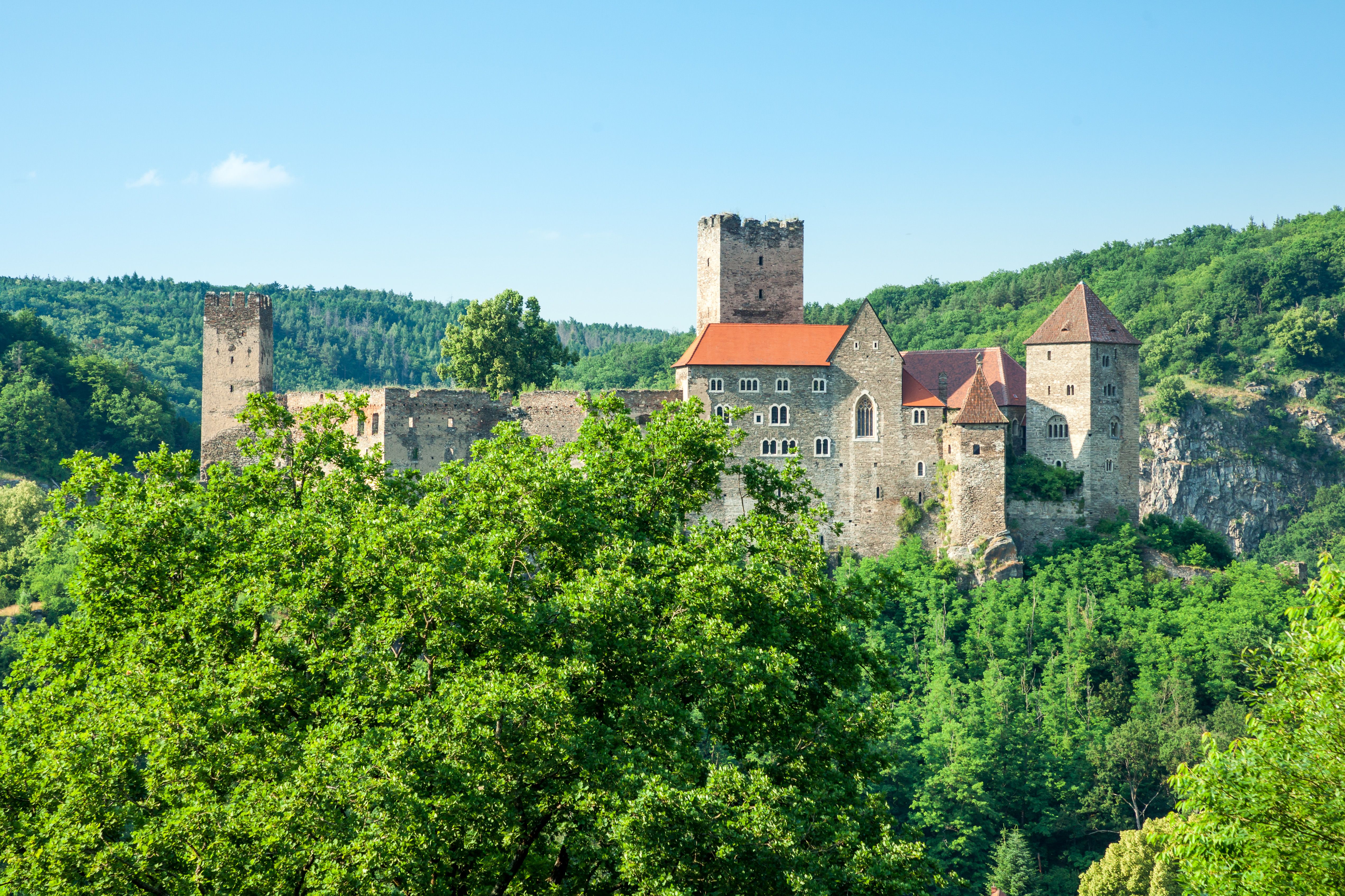 Eine mittelalterliche Burg auf einem bewaldeten Hügel bei klarem Himmel.