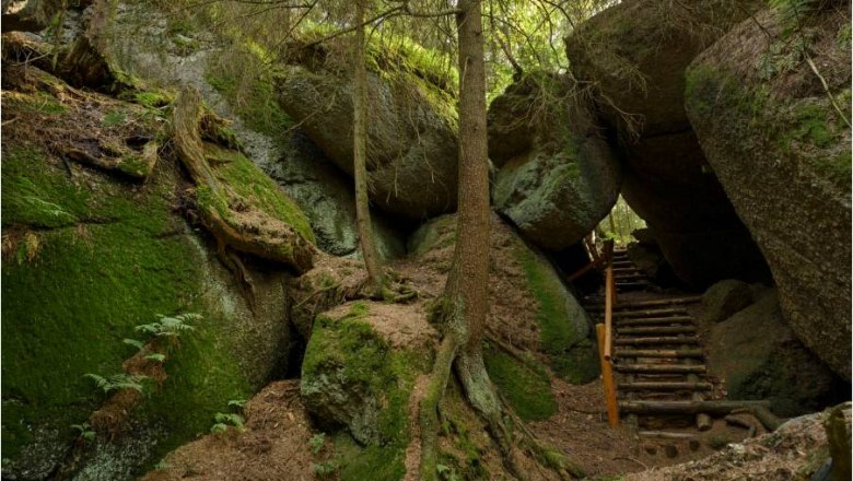 Bärentrail, Luaga-Lucka bei Altmelon, © BÄRENWALD, Matthias Schickhofer