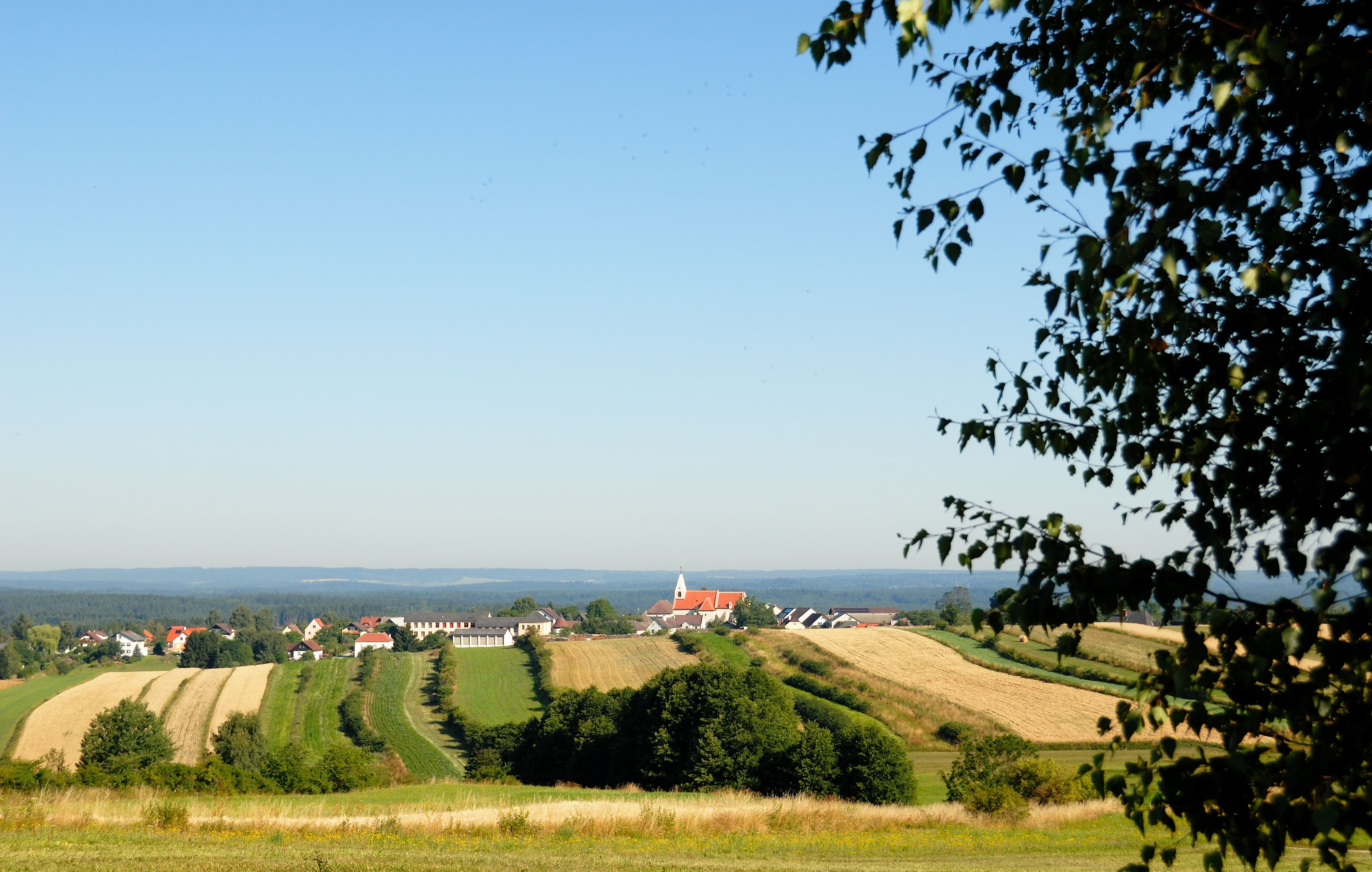 Landschaft mit Feldern und einem Dorf im Hintergrund, blauer Himmel, Baum im Vordergrund.