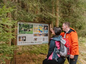 Ein Paar genie&szlig;t die faszinierenden Informationen &uuml;ber die Umgebung, w&auml;hrend sie inmitten der &uuml;ppigen Natur stehen. Die frische Luft und das sanfte Rascheln der Bl&auml;tter schaffen eine einladende Atmosph&auml;re f&uuml;r Wanderer, die die Sch&ouml;nheit des Wasserwunderwegs entdecken m&ouml;chten.