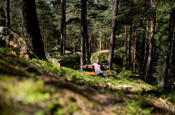 Wald, © Waldviertel Tourismus, Robert Herbst