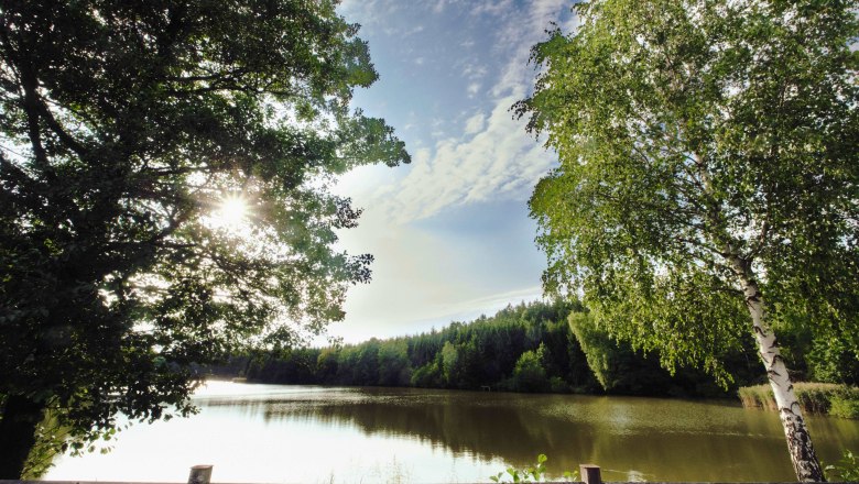 M&uuml;llerteich Reingers, &copy; Gemeinde Reingers