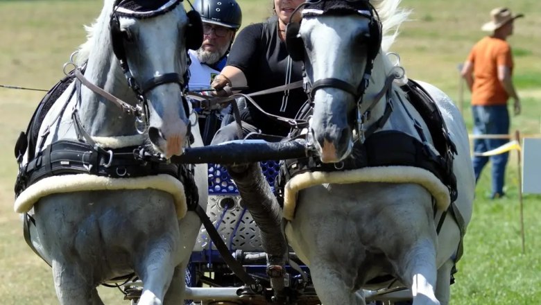 Geländeprüfung, © Sonja Bauer