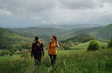 Lebensweg, © Waldviertel Tourismus, Melanie Többe