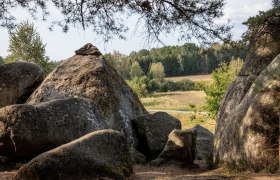 Im Naturpark Blockheide entfaltet sich eine beeindruckende Landschaft aus majest&auml;tischen Felsen und sanften H&uuml;geln, die von &uuml;ppigem Gr&uuml;n umgeben sind. Die ruhige Atmosph&auml;re l&auml;dt dazu ein, die Seele baumeln zu lassen und die Sch&ouml;nheit der Natur in vollen Z&uuml;gen zu genie&szlig;en.