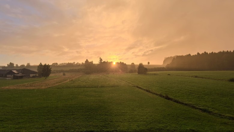 Frühstücksblick, © Thomas Starkl