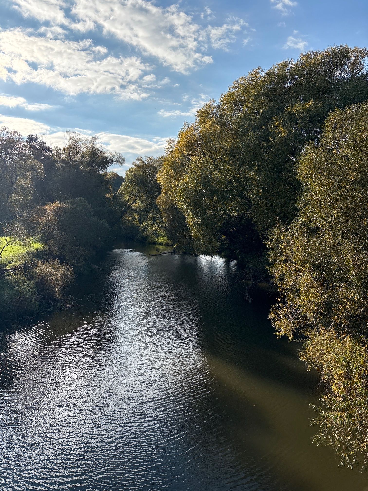 Tour 4 Thaya bei Liebnitzmühle