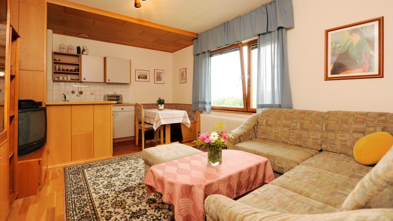 Gemütliches Wohnzimmer mit Sofa, Teppich, Tisch und kleiner Küchenzeile.