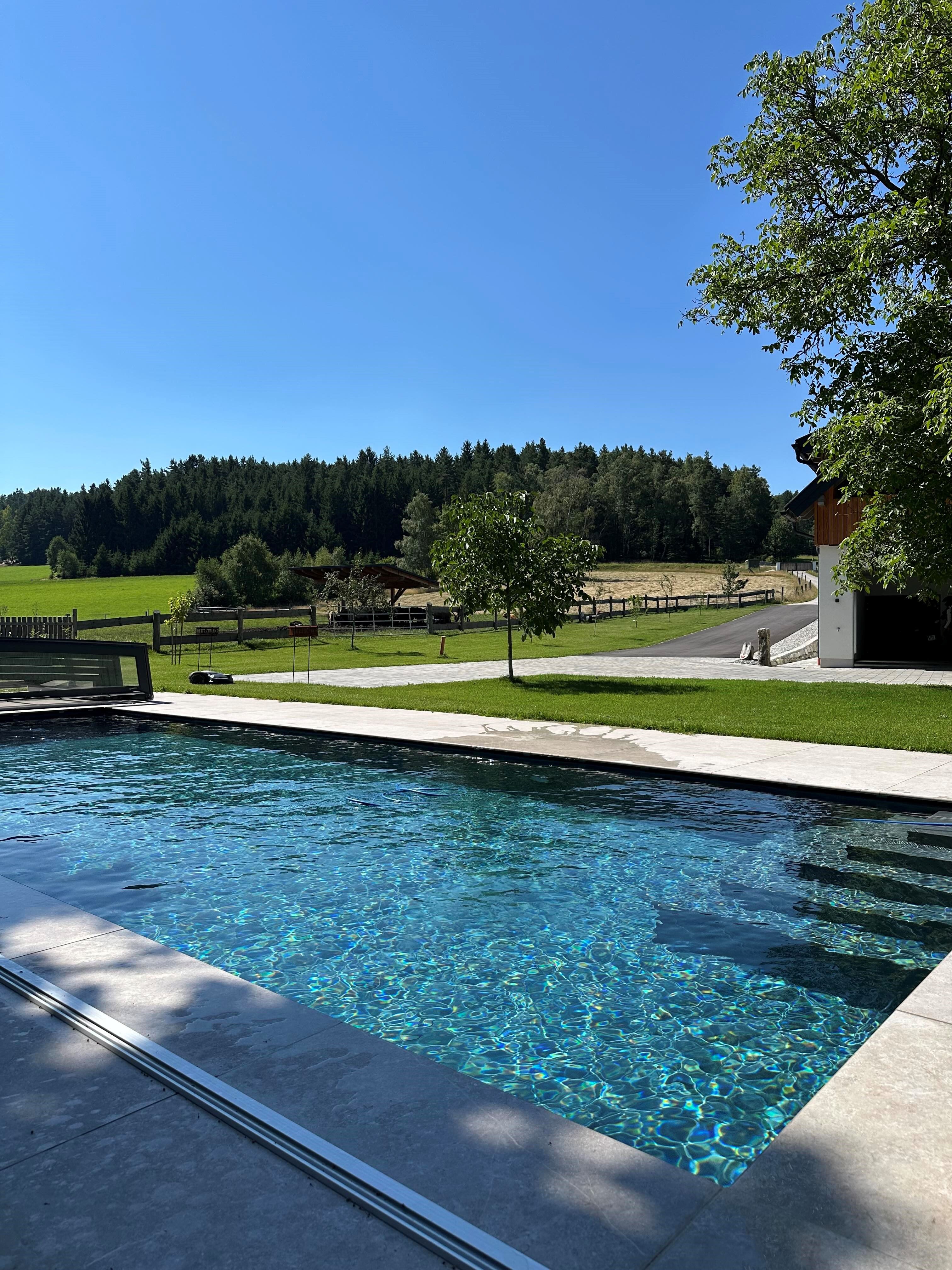 Ein moderner Pool in einem Garten mit Blick auf eine grüne Wiese und einen Wald im Hintergrund.