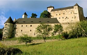 Burg Rappottenstein in Österreich, umgeben von Bäumen und Wiesen.